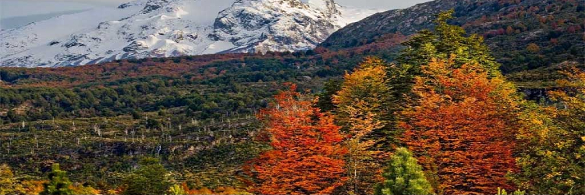 Que hacer en la Patagonia