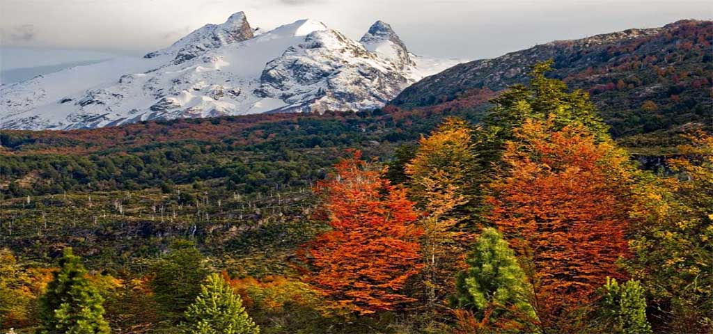 Que hacer en la Patagonia
